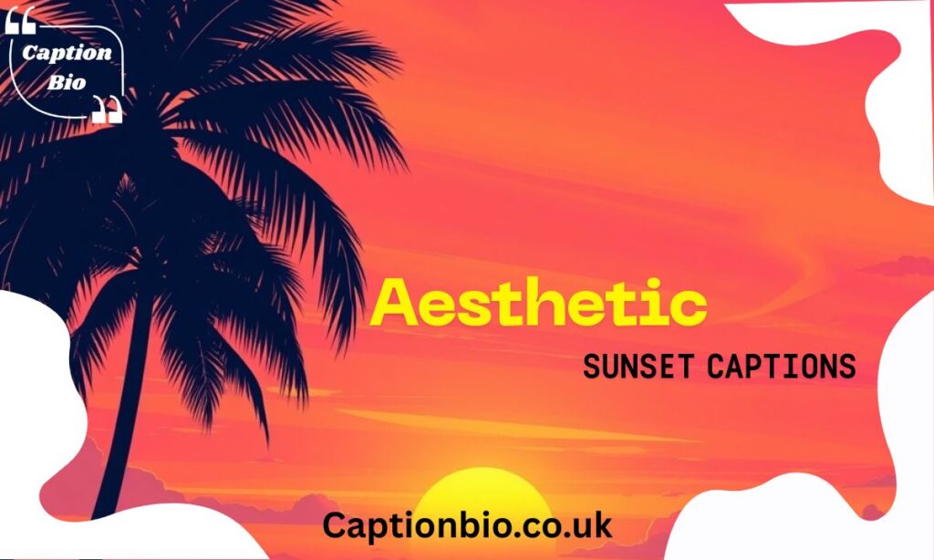 Aesthetic Sunset Captions That Glow with Beauty 🌇🌸